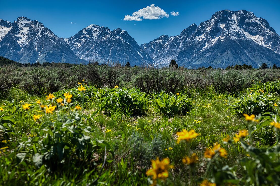 Beautiful landscape around the Jenny Laker. in Grand Teton National Park in western Wyoming. Alpine mountains, lakes, forests, meadows. South of Yellowstone National Park. The Teton Range runs north-south through the park. USA